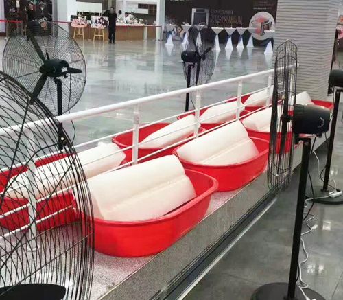 西安探花视频在线观看污冰块