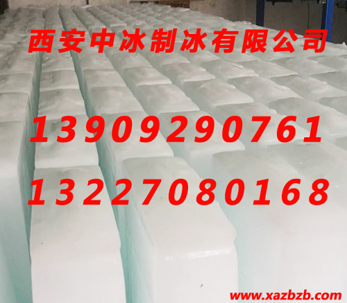 探花视频在线观看污冰块哪家好