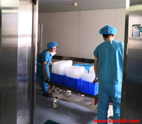 探花视频在线观看污冰块厂家